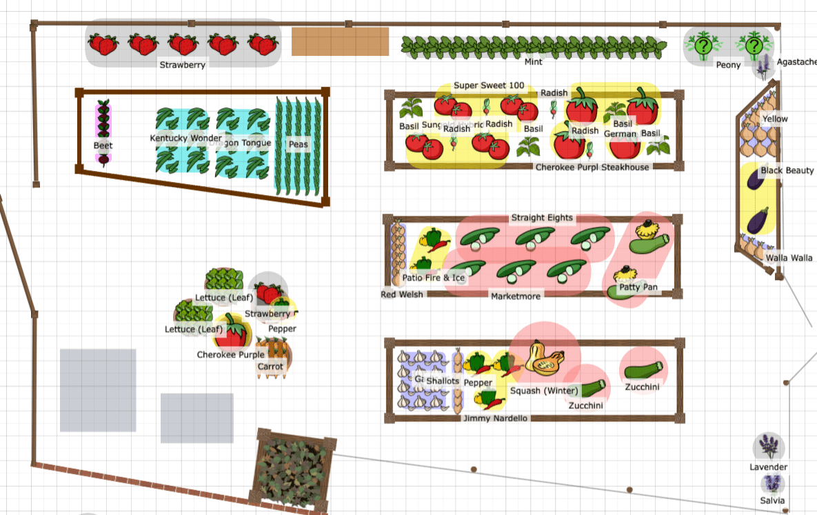 Raised Bed Vegetable Garden Plan and Layout